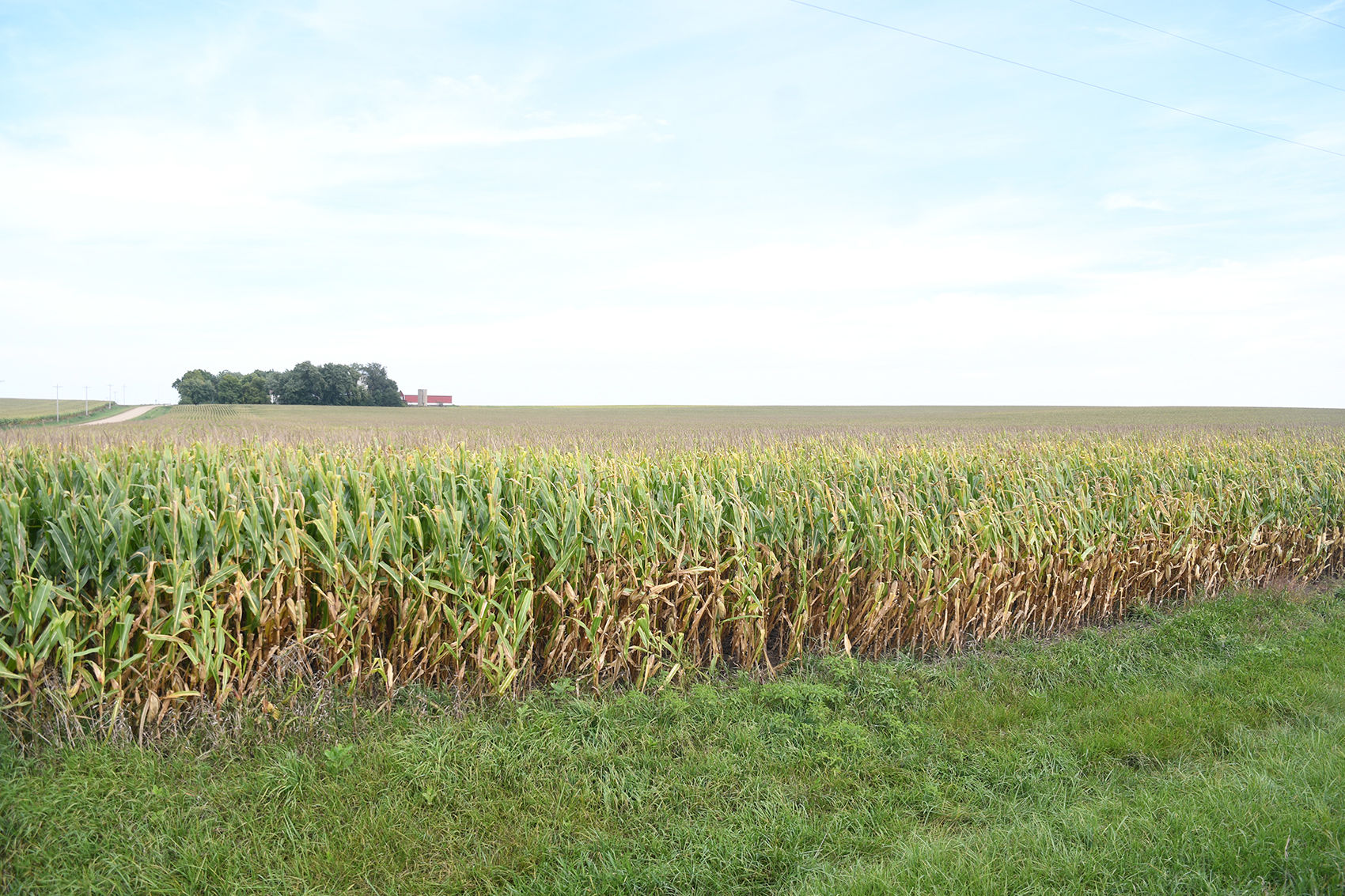O'Brien County cropland